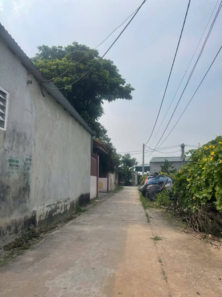 Đất nền xã Trung Kênh, huyện Lương Tài 102m² giá 950 triệu - Đầu tư sinh lời ngay!