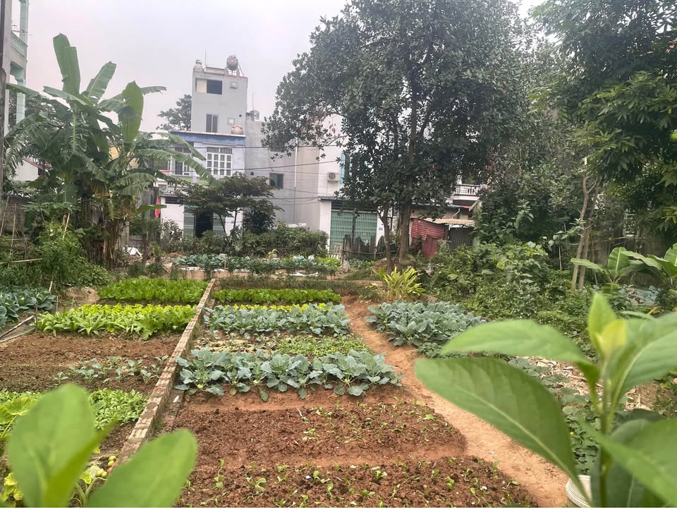 Đất nền đẹp tại Sóc Sơn 61m² giá 3 tỷ - Tiềm năng đầu tư cao!