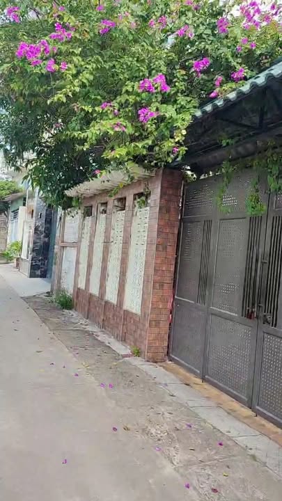 Đất thổ cư 117m² tại Thôn Me, Ninh Giang chỉ 1 tỷ - Cơ hội đầu tư tuyệt vời!