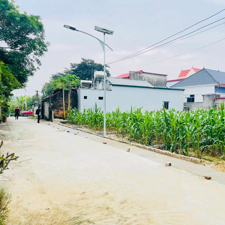 Đất nền Xuân Minh Thọ Xuân 120m² giá 300 triệu - Sổ đỏ chính chủ, đường bê tông rộng rãi!