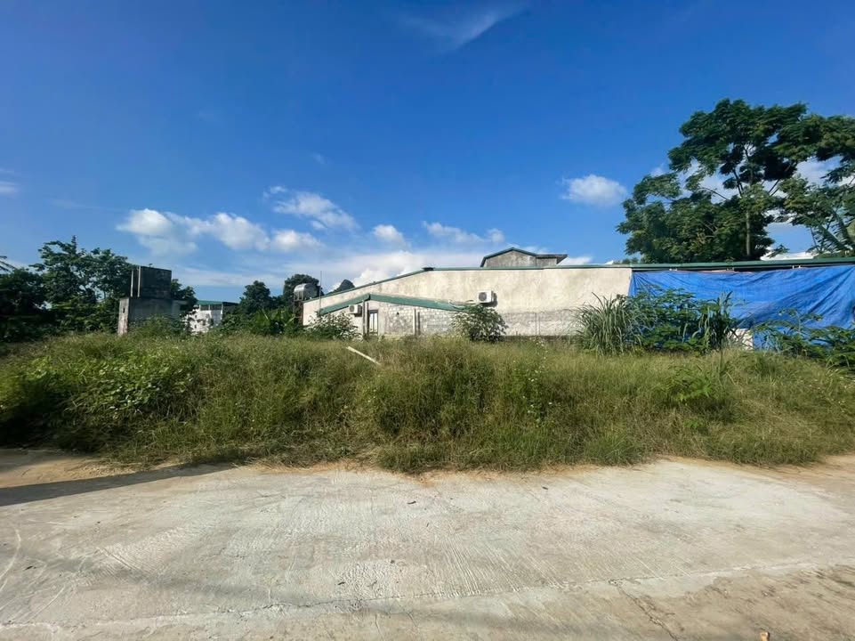 Lô đất Tràng Đà 90m² giá 600 triệu - Không ngập lụt, gần ủy ban