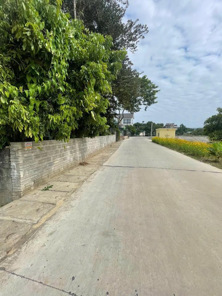 Đất thổ cư Hưng Thành 280m² - Đường thông thoáng, giá thỏa thuận!