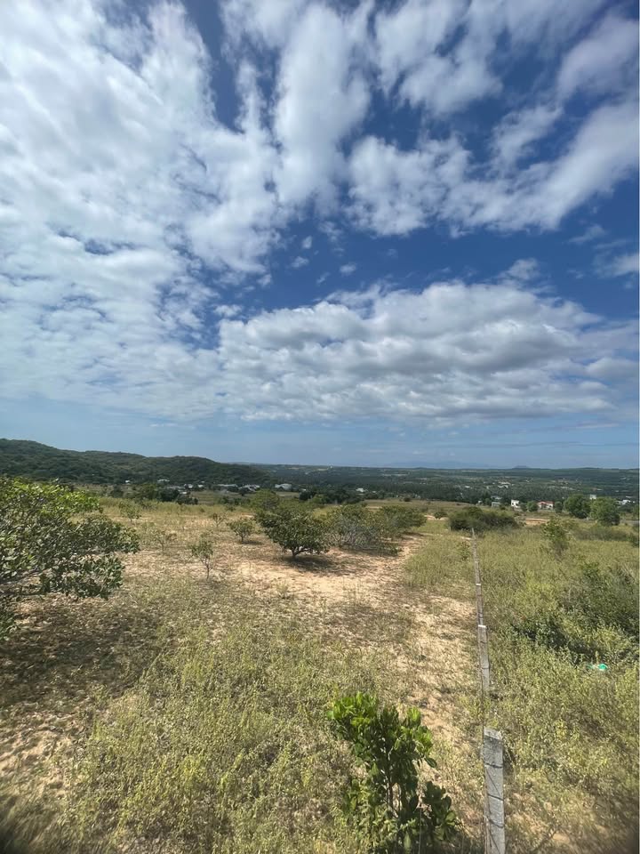 Đất nền Mũi Né Phan Thiết 40.000m² giá chỉ 8 tỷ - Cơ hội đầu tư tuyệt vời!