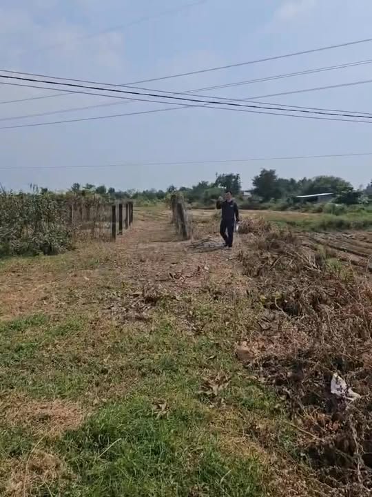 Đất thổ cư 430m² tại Thôn Thắng Hiệp, Huyện Hàm Thuận Bắc chỉ 1.3 tỷ - Cơ hội đầu tư hấp dẫn!