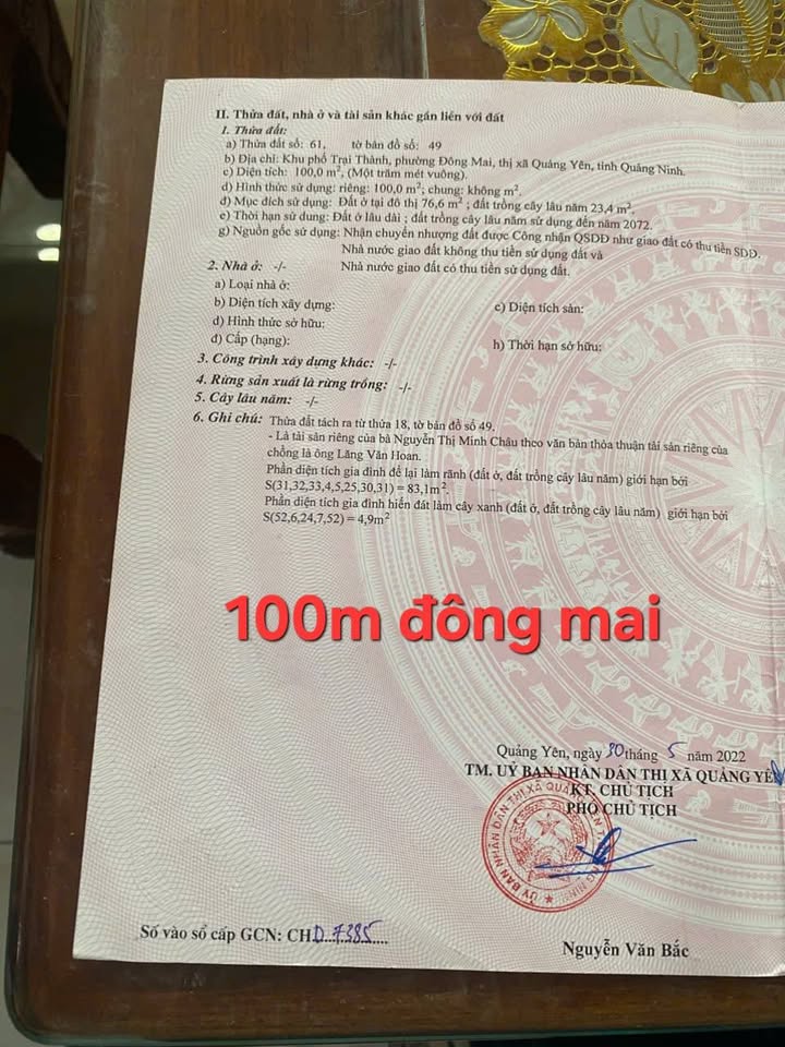 Đất nền khu Trại Thành Đông Mai, Quảng Yên 100m² giá chỉ 950 triệu - Cơ hội đầu tư tuyệt vời!