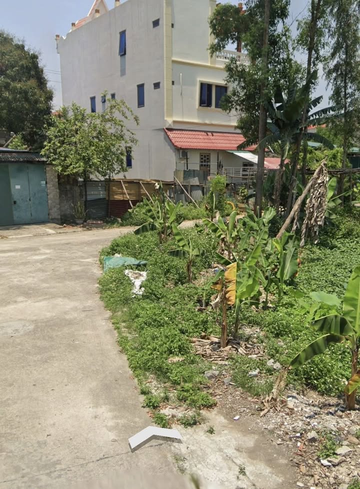 Đất nền Gia Vượng, Gia Viễn 120m² giá 1.4 tỷ - Cơ hội đầu tư tuyệt vời!