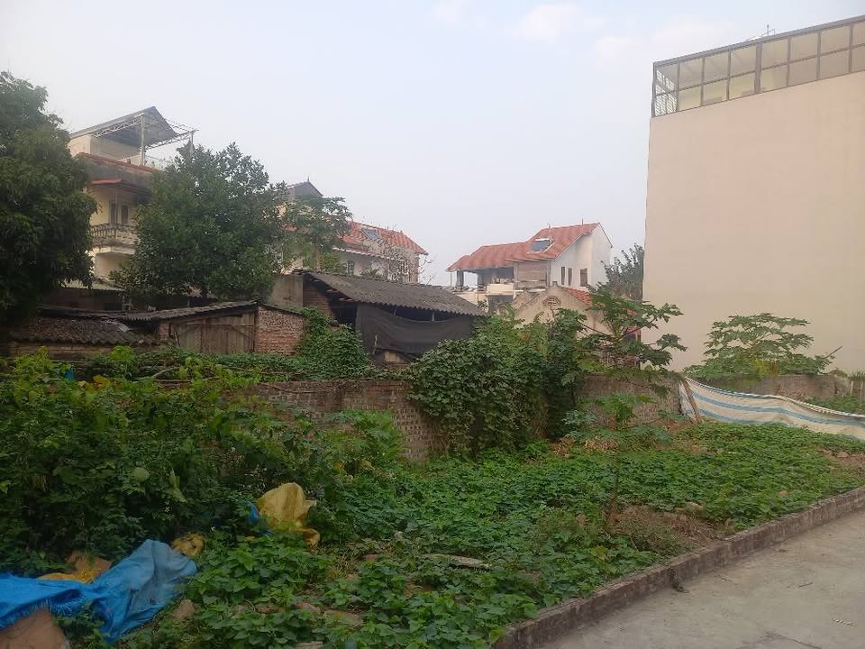 Đất nền Mai Lâm, Đông Anh 84m² giá 6.4 tỷ - Đầu tư sinh lời ngay!