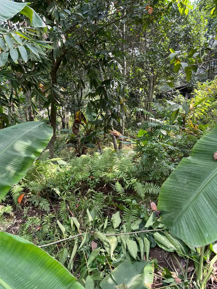 Đất nền Tràng Đà Tuyên Quang 100m² giá 750 triệu - Cần bán gấp!