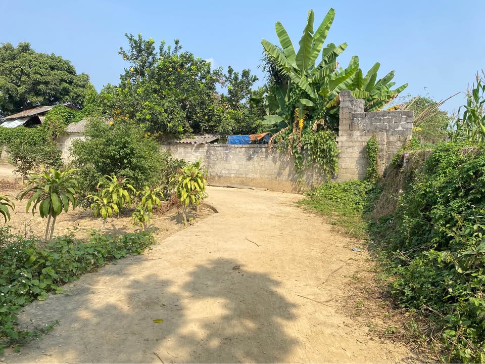 Lô đất đẹp tại xã Minh Lập, huyện Đồng Hỷ, 546m² giá 700 triệu - Đầu tư sinh lời chắc chắn!