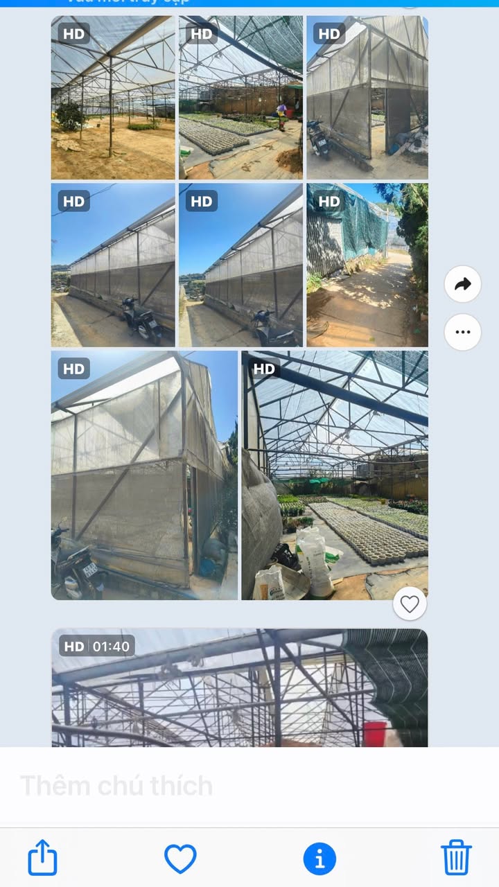 Đất nền Đà Lạt 1000m² giá 8.5 tỷ - Cần bán gấp, vị trí đẹp!