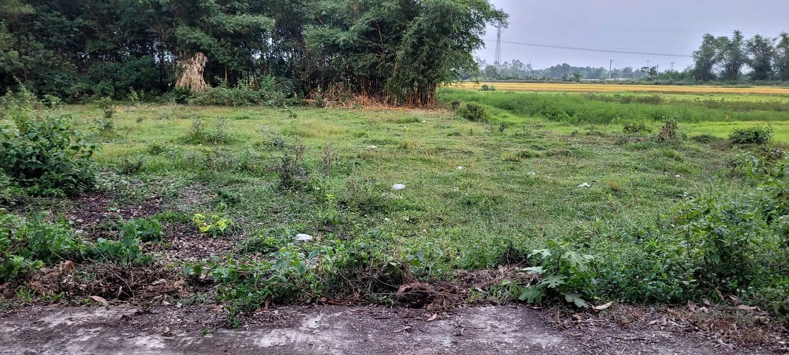 Nhà vườn 2 mặt tiền View Đồng 1000m² - Tiềm năng nghỉ dưỡng tuyệt vời!