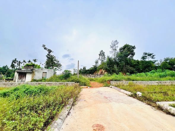 Đất nền 500m² tại Liên Khê, Thủy Nguyên - Chỉ 900 triệu!