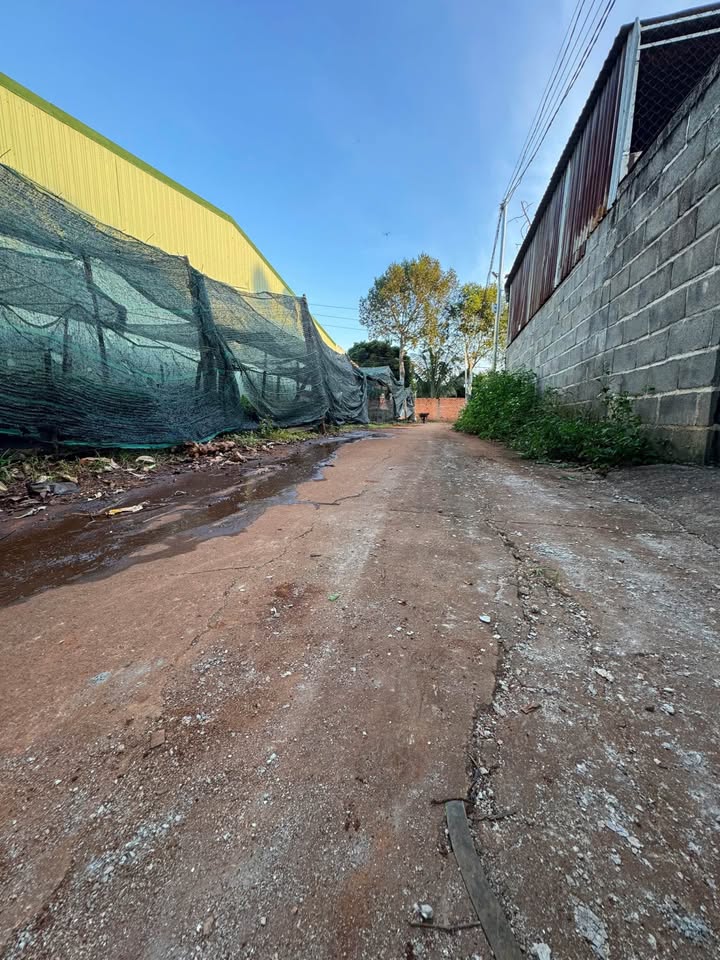 Đất nền Hòa Thắng Buôn Ma Thuột 120m² giá 1.6 tỷ - Cơ hội đầu tư lý tưởng!