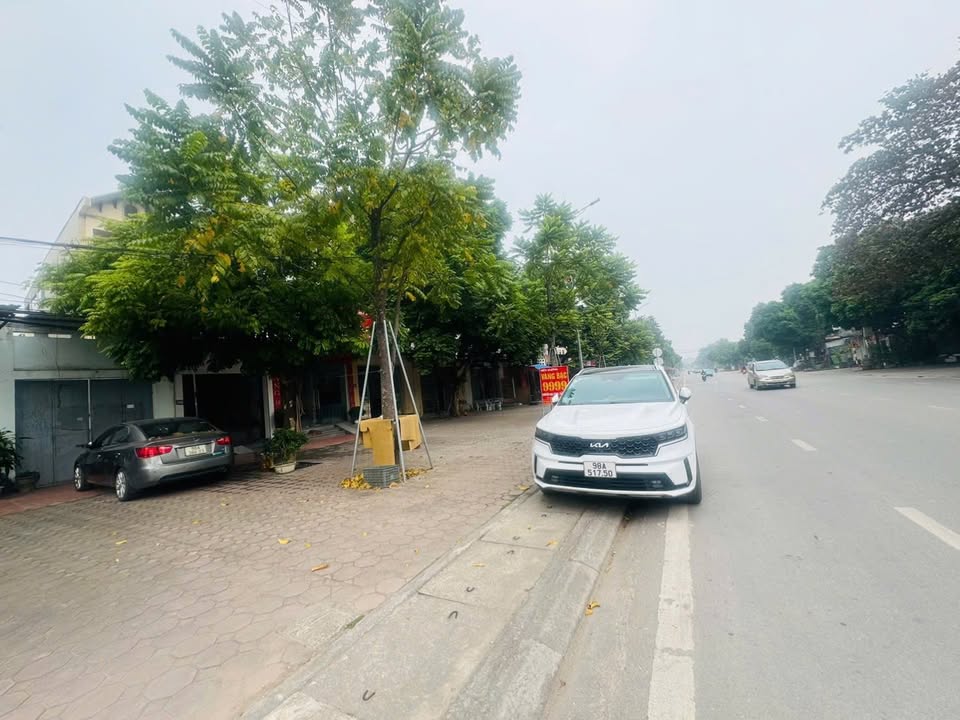 Đất bán mặt tiền đường Tỉnh Lộ 295B, Tân Mỹ, Bắc Giang 70m² - Kinh doanh đắc địa!