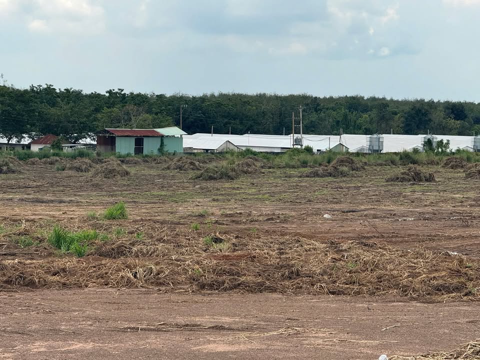 Đất thổ cư 1000m² Lộc Thành Lộc Ninh - Chính chủ bán gấp!