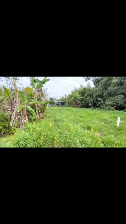 Đất Thổ Cư 212m² Phường Đông Thành, Bình Minh - Giá chỉ 4,3 triệu/m²