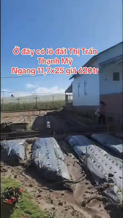 Đất thổ cư 300m² tại Thị Trấn Thạnh Mỹ, Đơn Dương - Giá chỉ 620 triệu