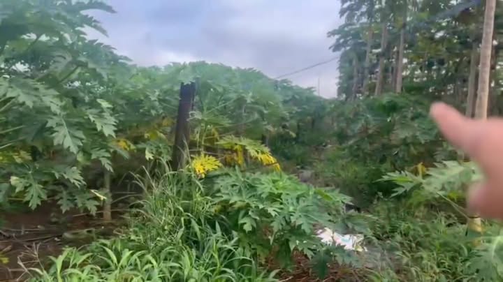 Đất nền Xuân Sơn 4900m² giá 2.45 tỷ - Mặt tiền nhựa 100m