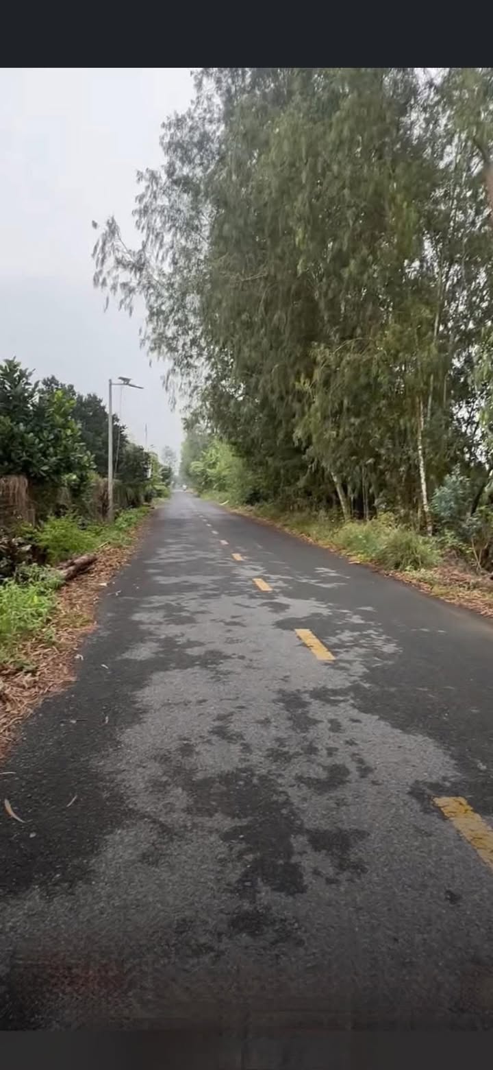 Farm cho thuê tại xã Tân Kiều, huyện Tháp Mười, 119.000m² - Đầu tư sinh lời lâu dài!