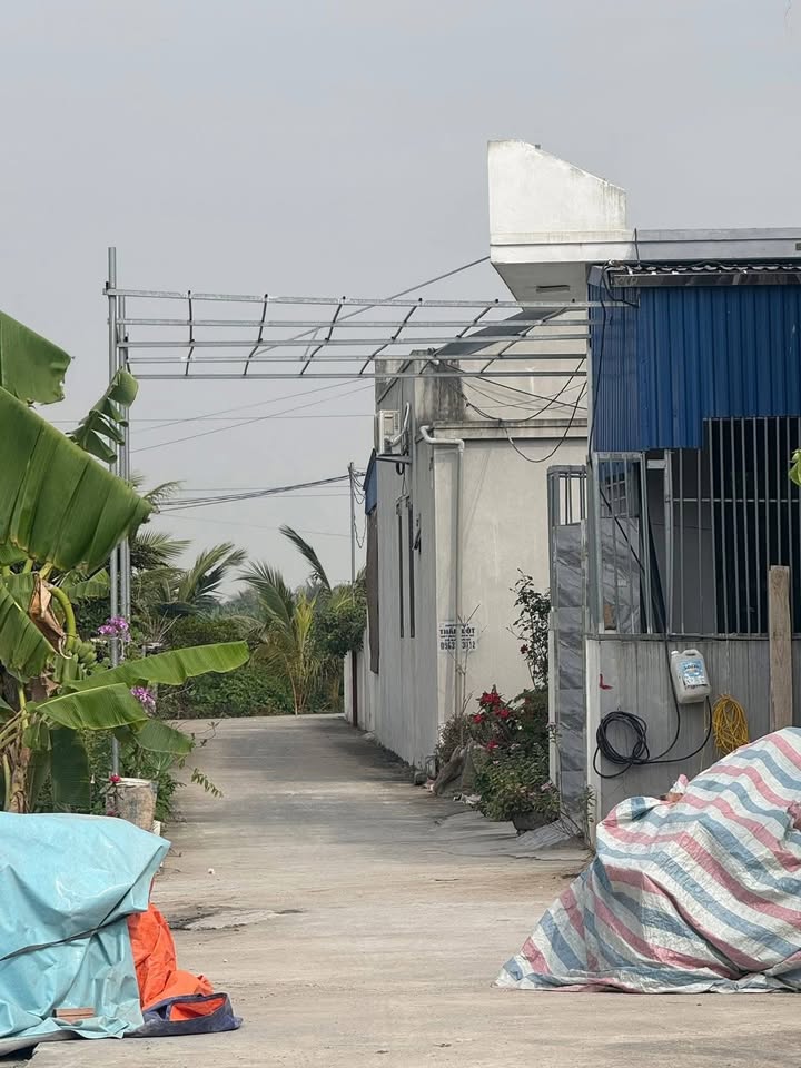 Đất nền Quang Hưng, An Lão 64m² chỉ 400 triệu - Đầu tư sinh lời ngay!