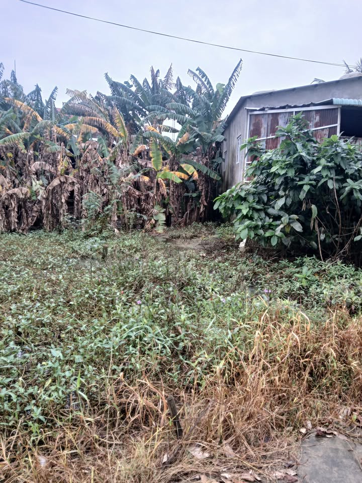 Đất nền khu phố Phong Nhất, Điện An 105m² giá 500 triệu - Sổ hồng trao tay!