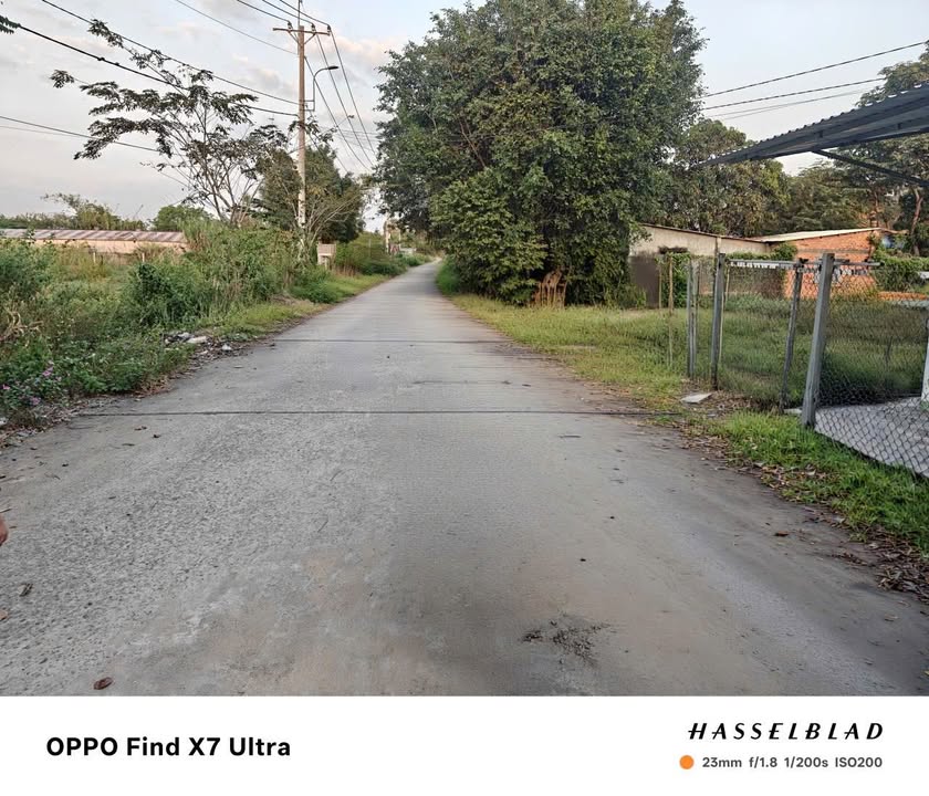 Nhà cấp 4 tại ấp Bàu Điều Thượng, xã Thái Mỹ, Củ Chi 221m² giá 3 tỷ - Sẵn sàng cho chủ mới!