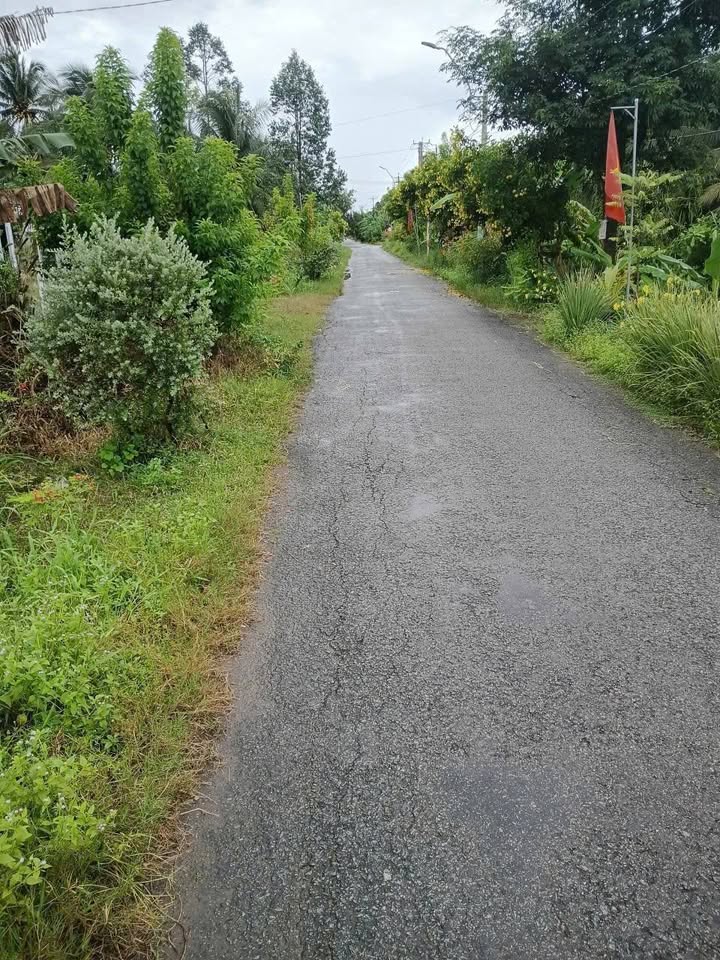 Đất nền Trương Văn Kỉnh, Long Đức, 750m² - Cơ hội đầu tư hấp dẫn!