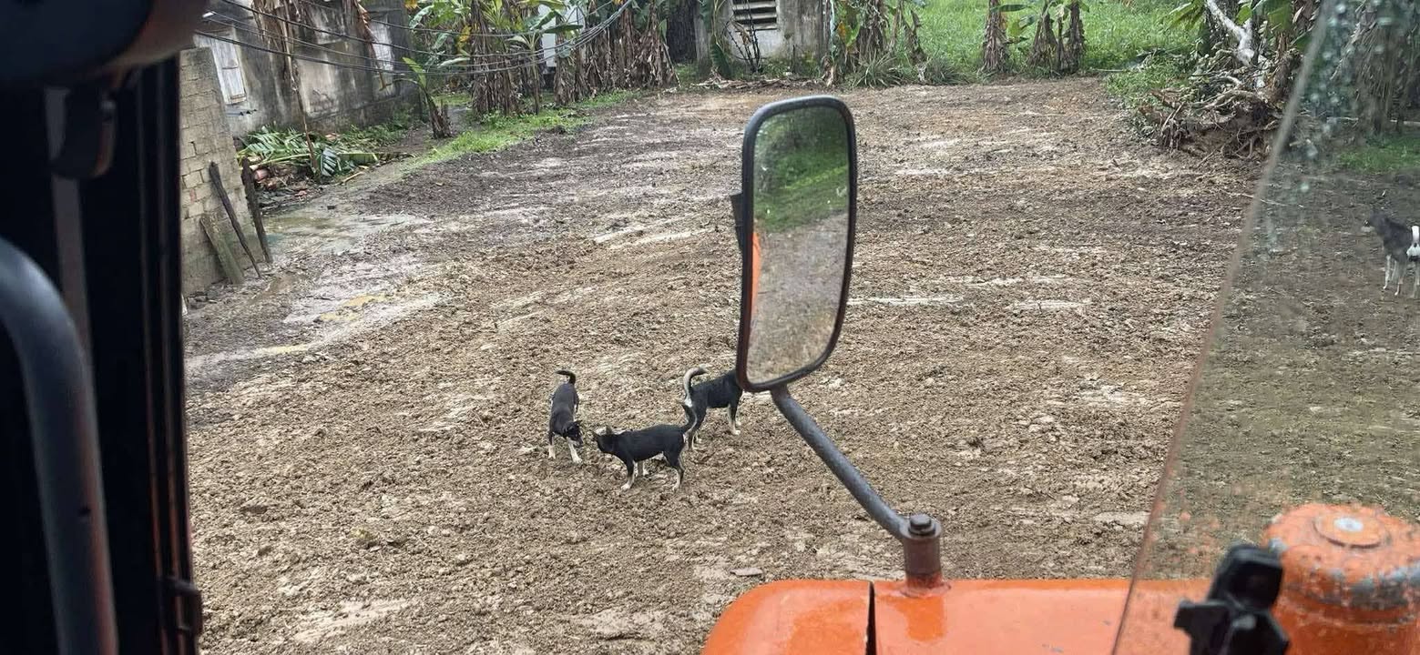 Đất nền Bắc Nghĩa, Trần Thủ Độ 250m² giá chỉ 700 triệu - Cơ hội đầu tư tuyệt vời!