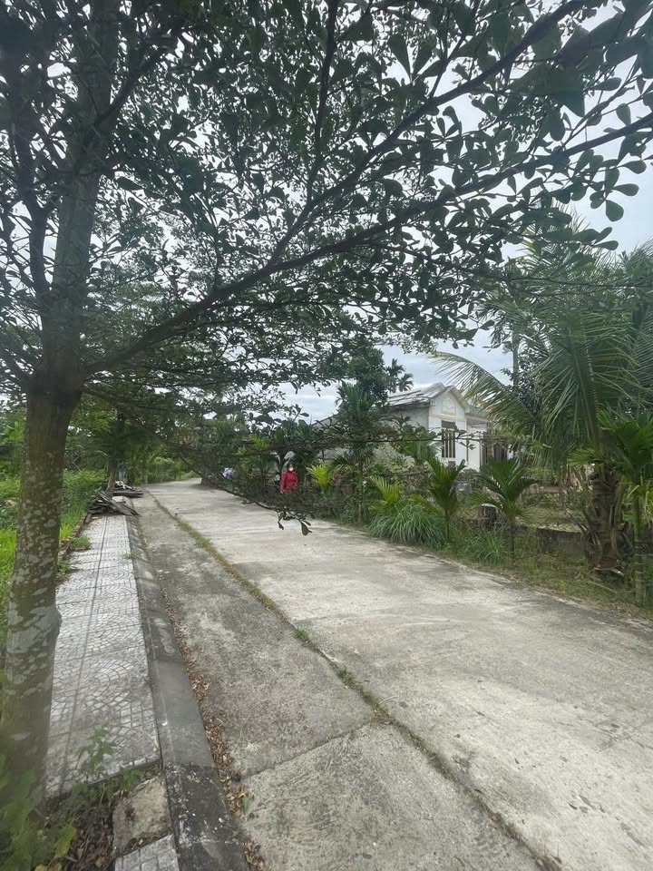 Đất nền Phong Nhất - Điện An 105m² chỉ 600 triệu - Đầu tư sinh lời ngay!