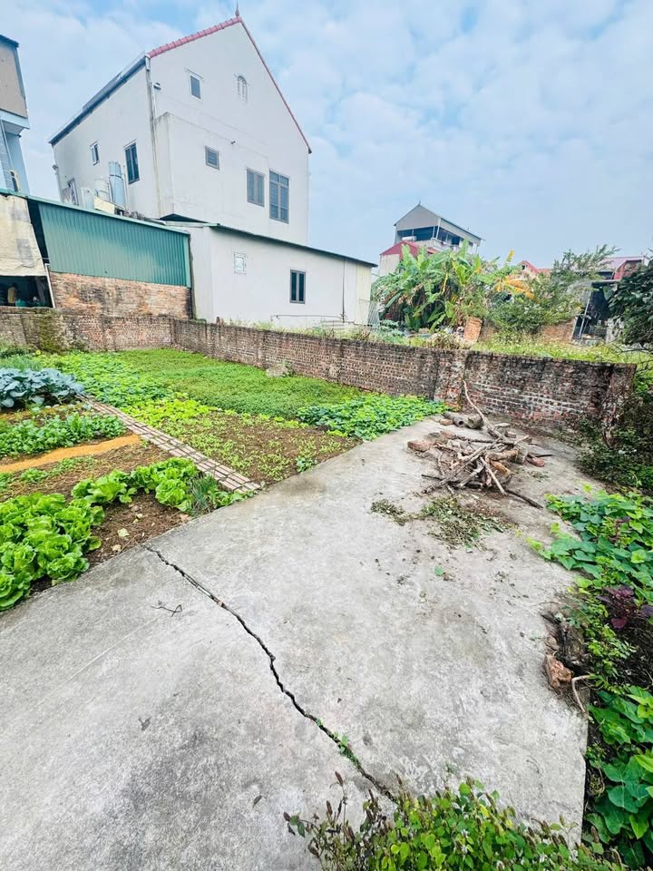 Đất nền Dương Quang, Mỹ Hào 62.8m² giá chỉ 1 tỷ - Cơ hội đầu tư tuyệt vời!