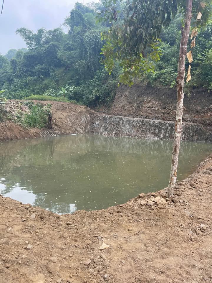 Đất nền 1,5ha tại Cầu Xum, Bảo Thắng - Giá 1.3 tỷ, pháp lý rõ ràng!