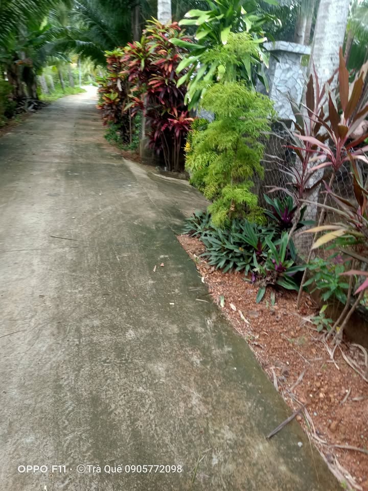 Đất nền khu phố 2, phường Tam Quan 130m² giá 600 triệu - Đầu tư thông minh ngay!