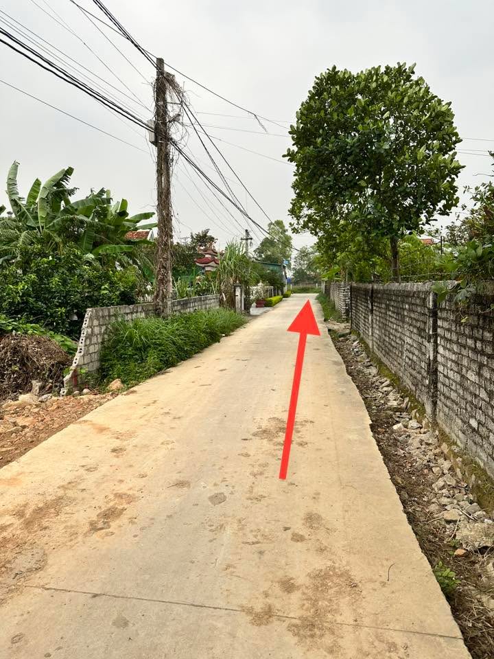 Đất Quỳnh Bảng 240m² giá 1.2 tỷ - Đầu tư sinh lời hấp dẫn!