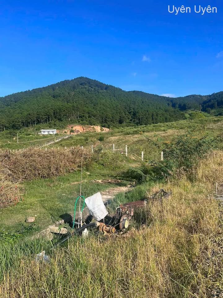 Đất mặt tiền 80m tại xã Quảng Lập, 1800m² chỉ 850 triệu - Cơ hội đầu tư hấp dẫn!