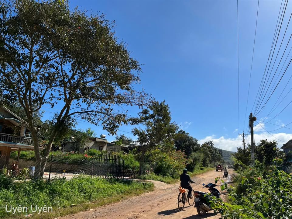 Đất thổ cư Đơn Dương 300m² giá 750 triệu - Cơ hội đầu tư sinh lời!