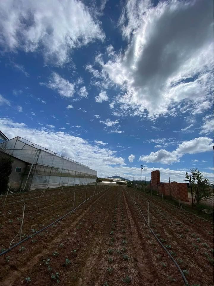 Đất mặt tiền phường 7, Đà Lạt 500m² giá 5.3 tỷ - Đầu tư sinh lời hấp dẫn!