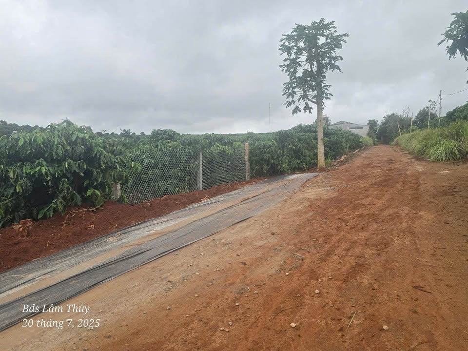 Đất thổ cư Nam Ban 135m² giá 5.85 tỷ - Vị trí đắc địa gần chợ trường học!