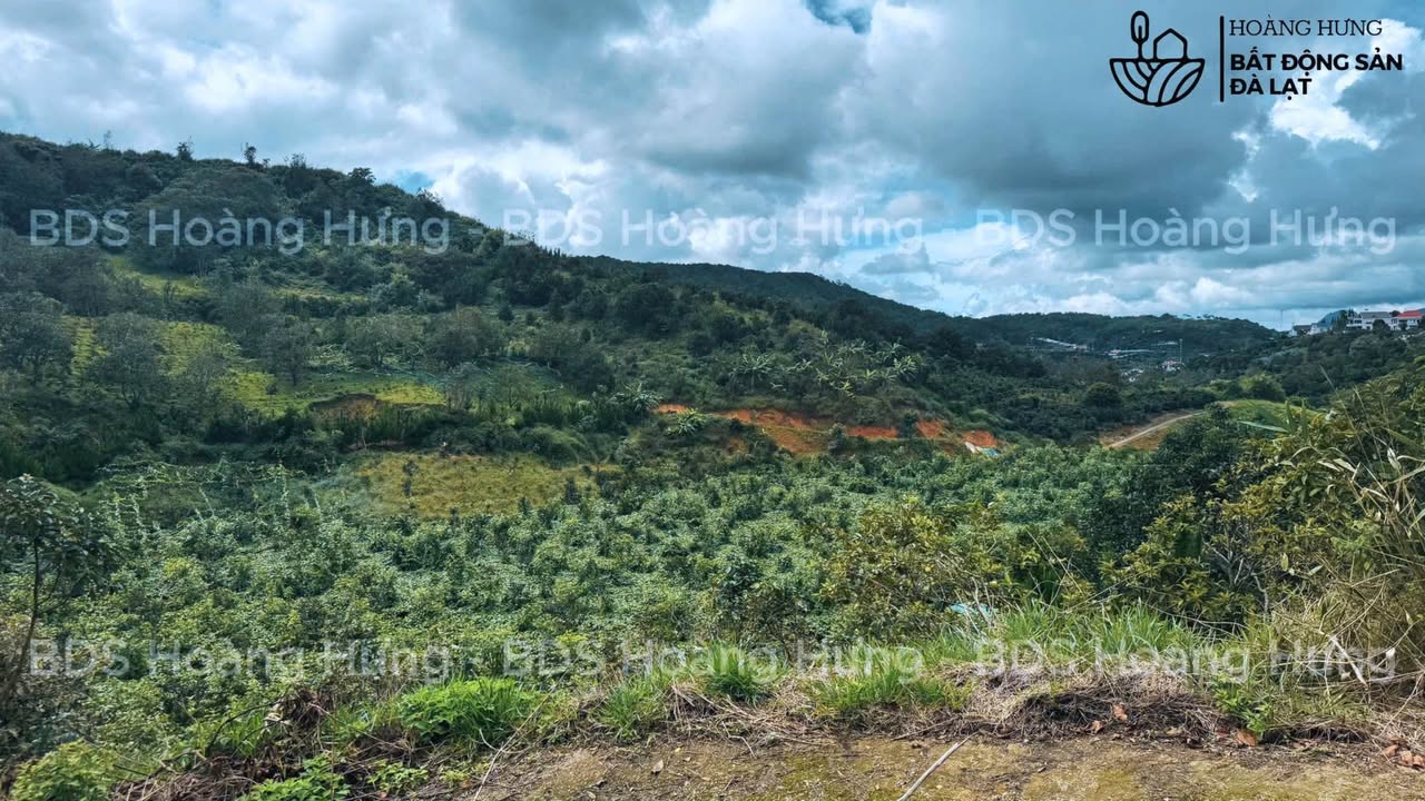 Đất sổ đỏ 2026m² view đồi đẹp tại Cầu Đất Đà Lạt - Chỉ 1,45 tỷ