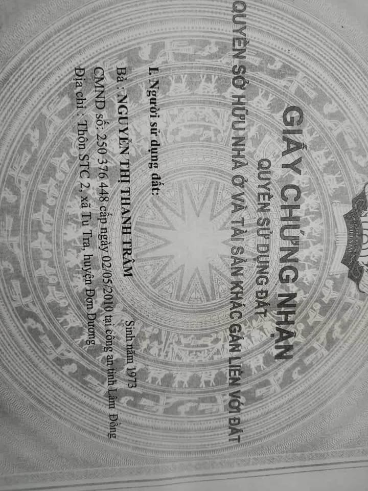 Đất nền Đạ Ròn, Đơn Dương 3600m² giá 700 triệu - Cơ hội đầu tư hấp dẫn!