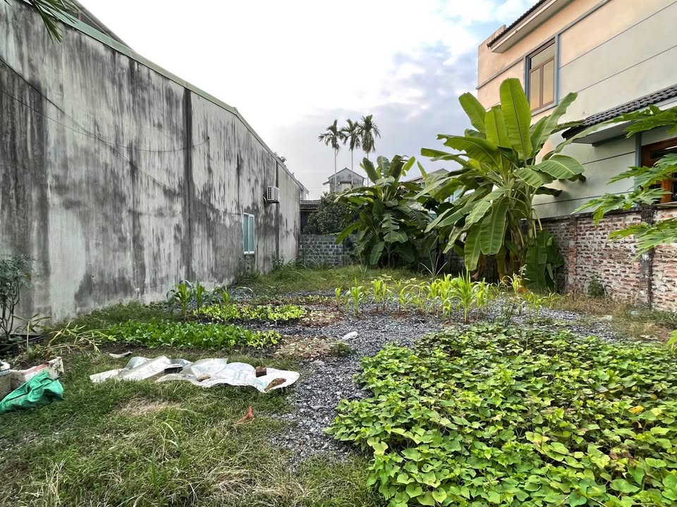 Đất nền phường Hữu Nghị 180m² giá thỏa thuận - Đường Bùi Thị Xuân thông thoáng