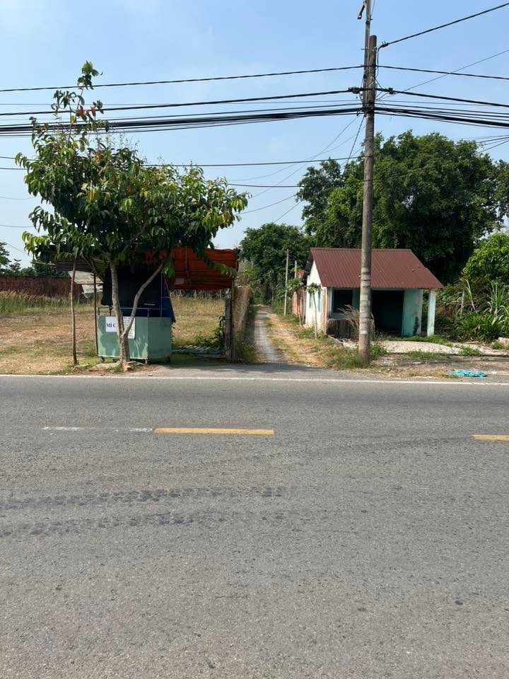 Nhà mặt tiền Đỗ Đăng Tuyển, Củ Chi 196m² giá 3 tỷ - Kinh doanh thuận lợi!