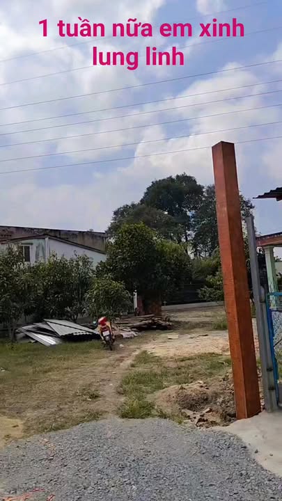 Bán biệt thự vườn Nghĩa Dương, Củ Chi 1200m² giá 4.5 tỷ - Không gian sống lý tưởng cho gia đình!