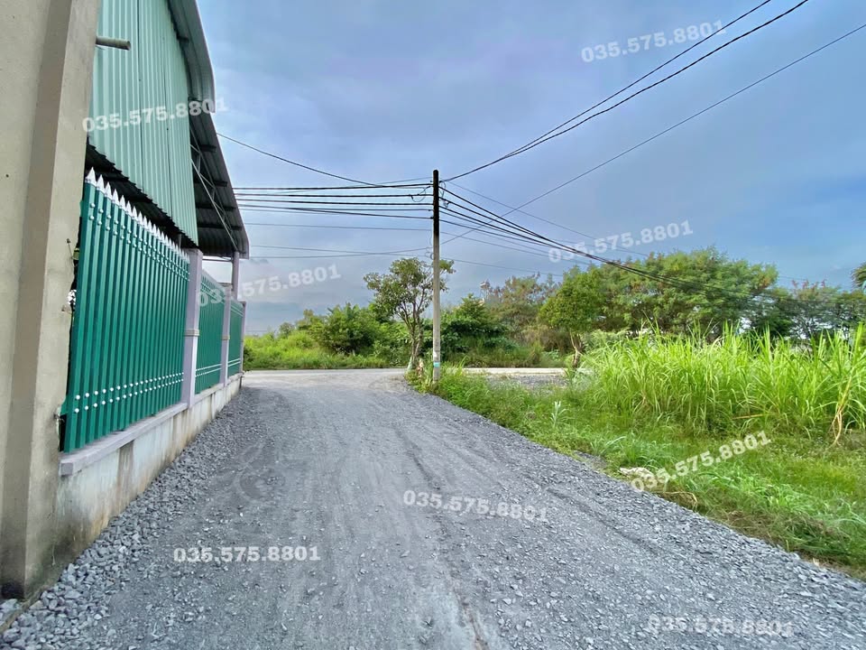 Đất nền 120m² tại ấp Hậu, xã Tân Thông Hội, Củ Chi - Giá tốt cho đầu tư!