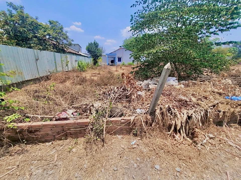 Đất nền Ấp 7, xã Tân Thạnh Đông 120m² giá 1.9 tỷ - Đầu tư sinh lời tuyệt vời!