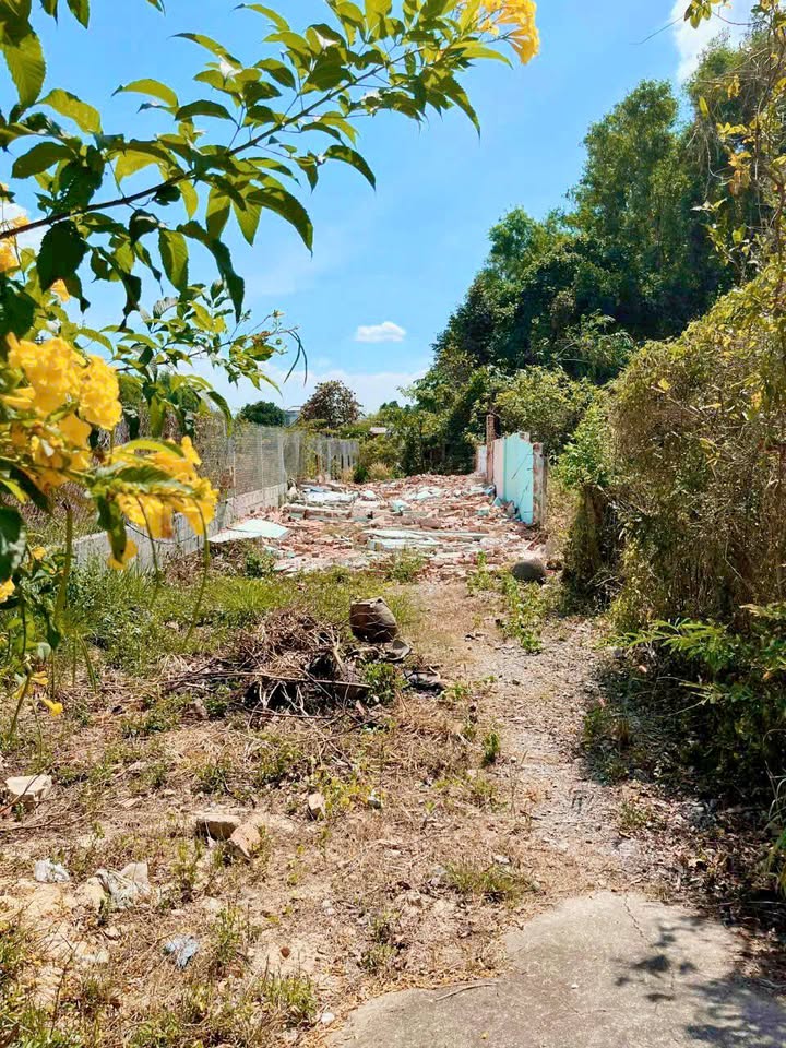 Đất mặt tiền đường Phạm Văn Cội, huyện Củ Chi, 260m² - Giá chỉ 1.5 tỷ!