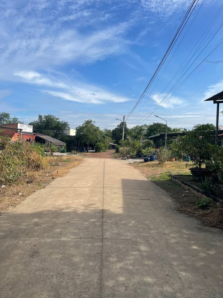 Đất mặt tiền đường bê tông gần chợ Hoàng Gia, Bến Cát 432m² chỉ 4.2 tỷ - Cơ hội đầu tư hấp dẫn!