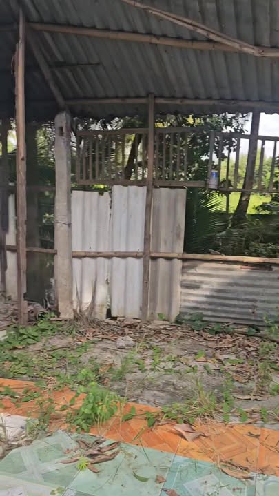 Đất mặt tiền kênh 621m² tại xã Tân Hội, Cai Lậy - Giá chỉ 600 triệu!