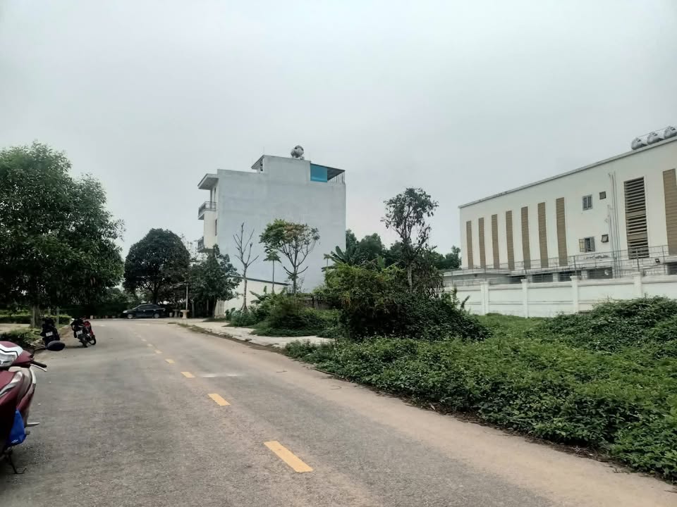 Đất nền Đông Hải Thanh Hóa 75m² giá chỉ 3 tỷ - Cơ hội đầu tư lý tưởng!