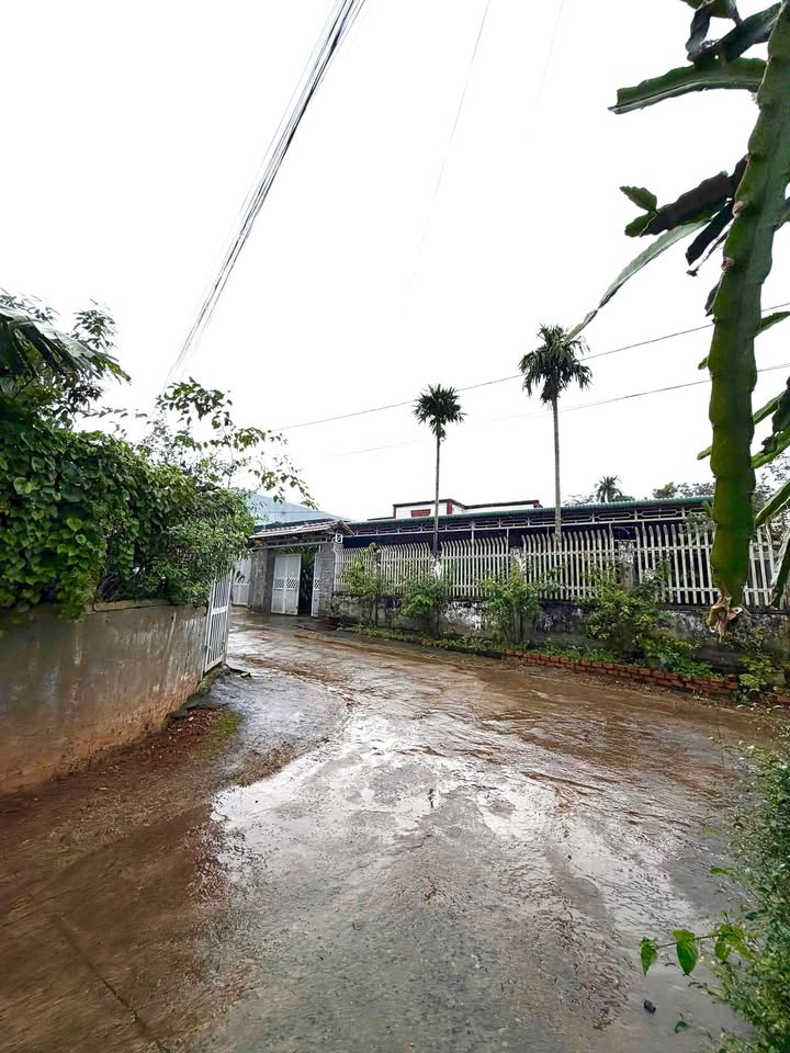 Đất thổ cư Hòa Thắng 84m² giá 1.79 tỷ - Đầu tư sinh lời ngay trung tâm!