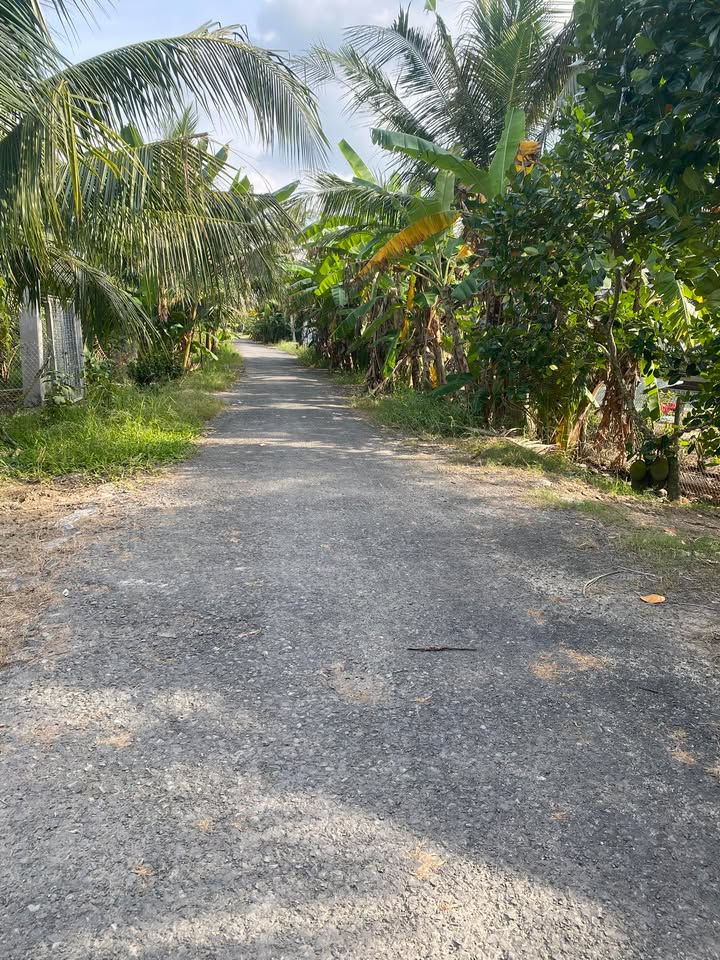 Đất nền lộ nhựa Đông Thành, 190m² giá tốt - Đầu tư sinh lời ngay!